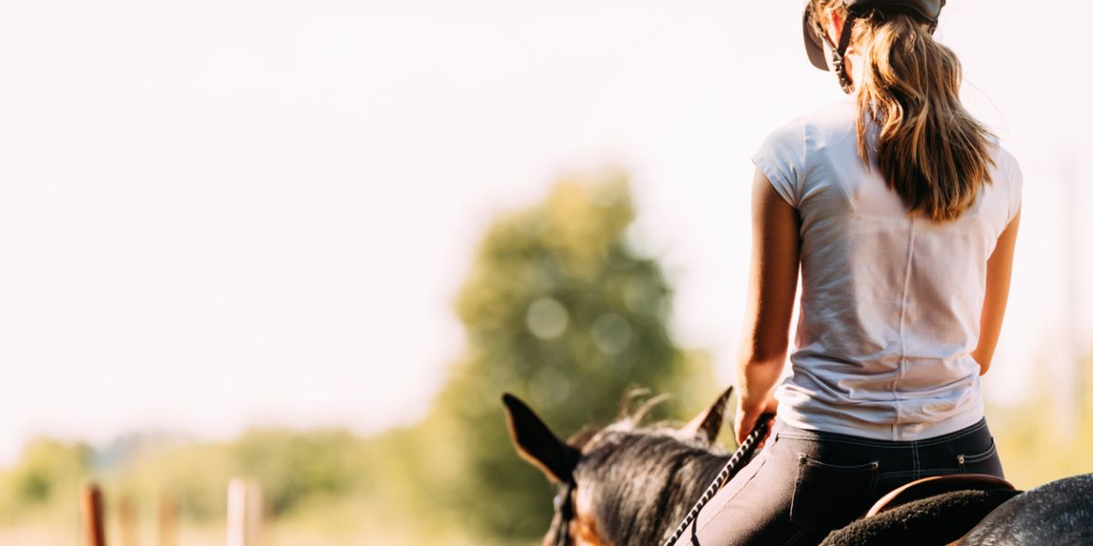 Equine Lease Agreements: What You Need to Know