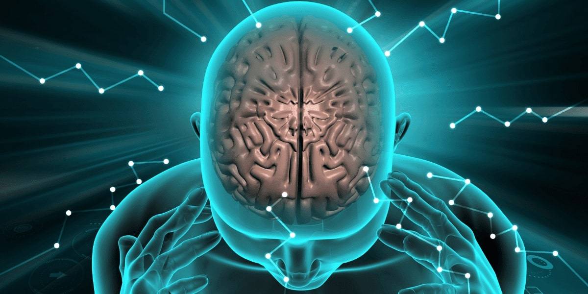 Can You Get Brain Damage From A Car Accident 