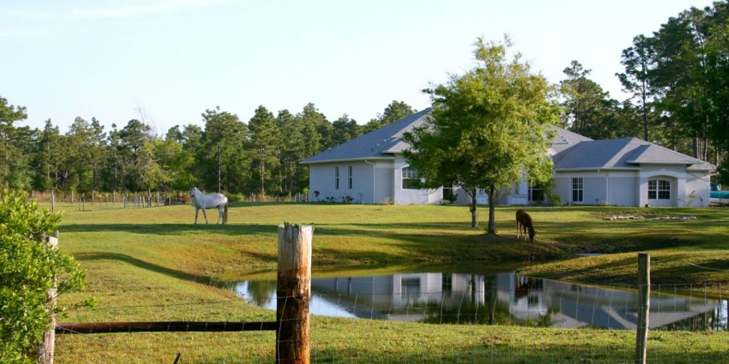 horses on a south florida farm