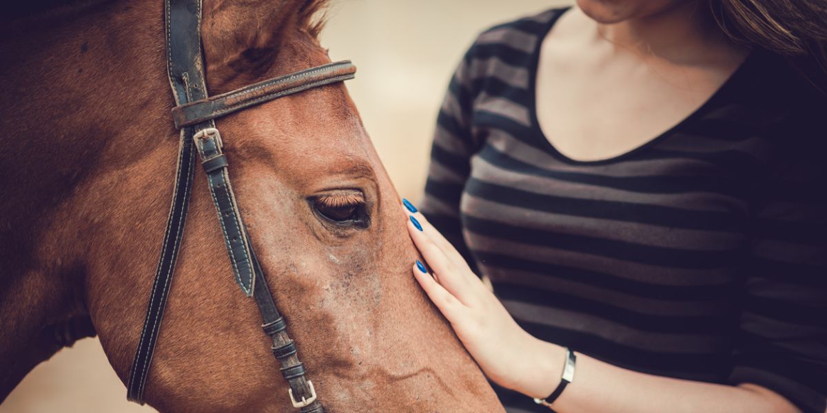 The Importance of Insurance Protection For Horse Owners