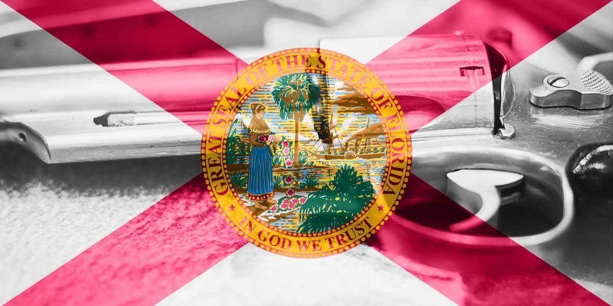 Florida Gun Laws and Regulations Explained